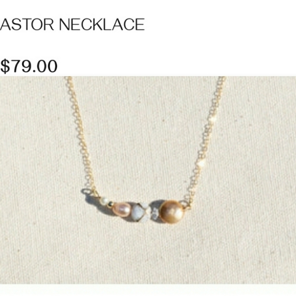 Nwot Native Gem Necklace
